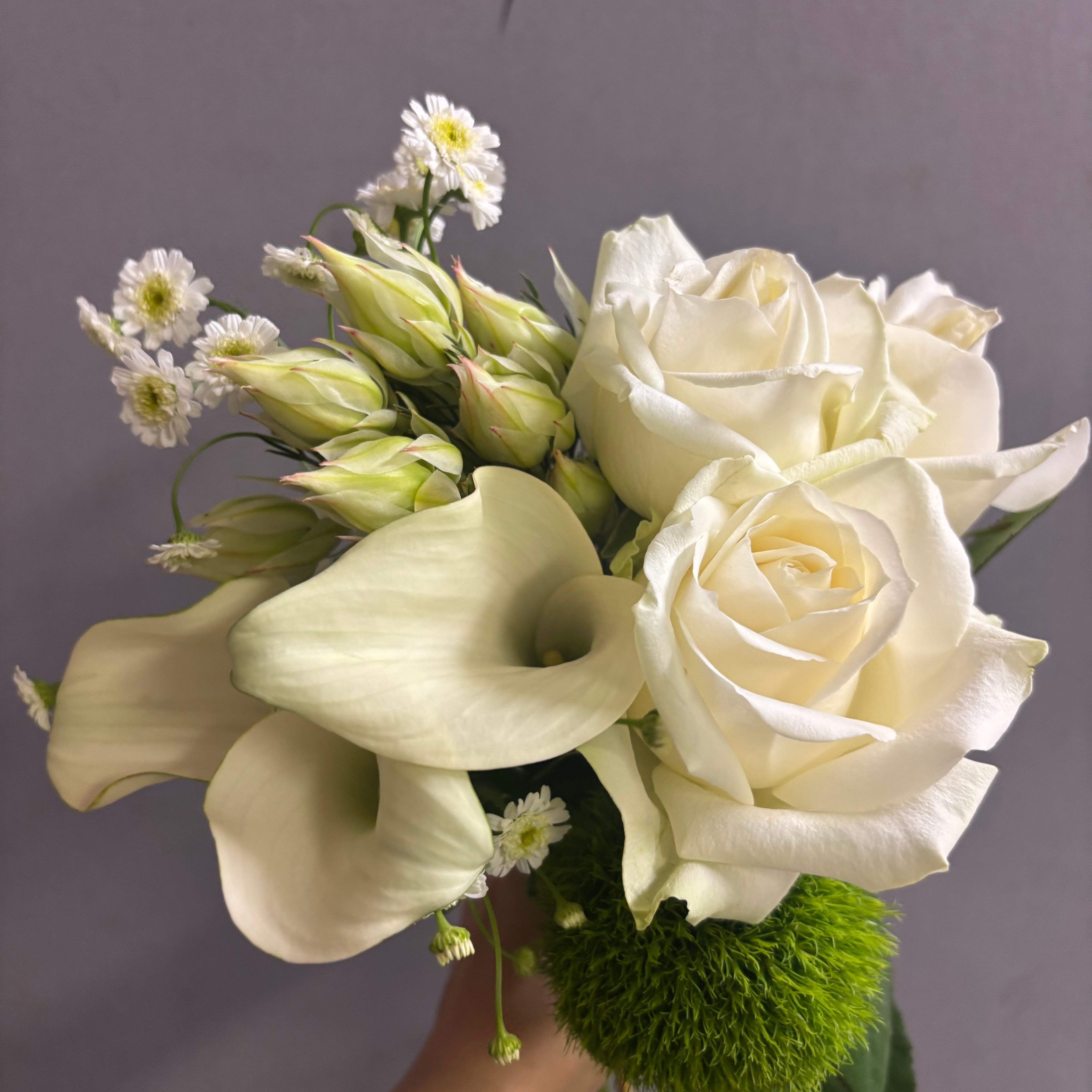 白 | 新鮮お花問屋 Jp-Farmers.com