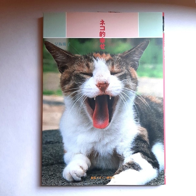 （バーゲンブック）ネコ的幸せ