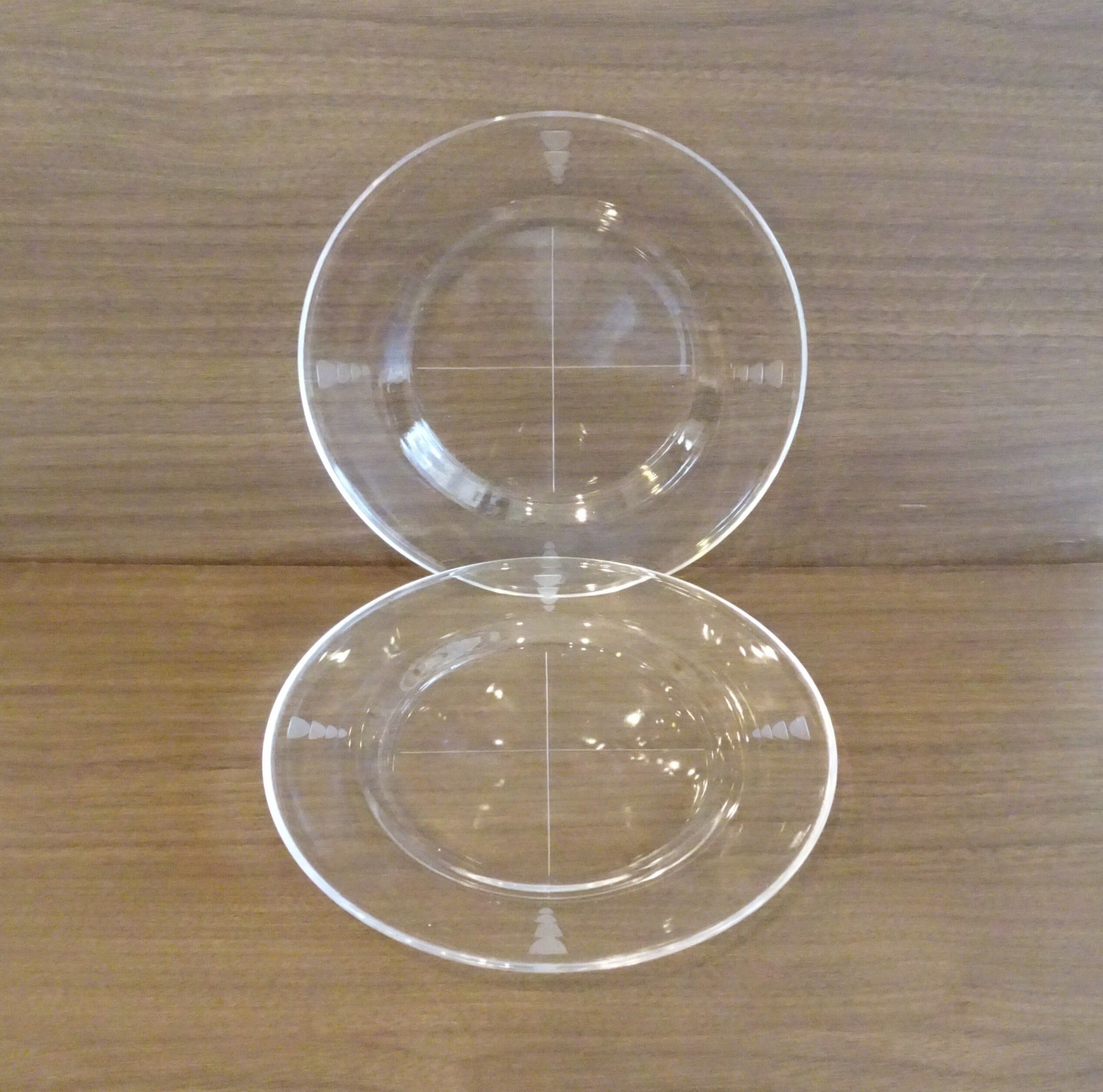 グラヴィールの入ったガラスプレート2枚セット