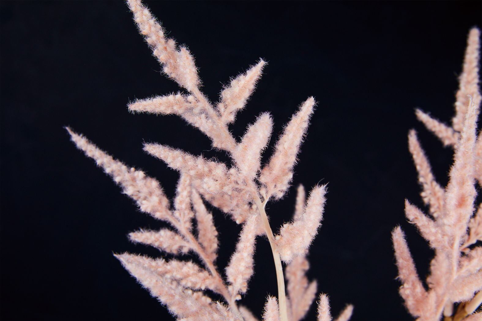 アスチルベスプレー　　FG-5156P　4961823786808　造花（アーティフィシャルフラワー） > 定番造花グリーン（素材）