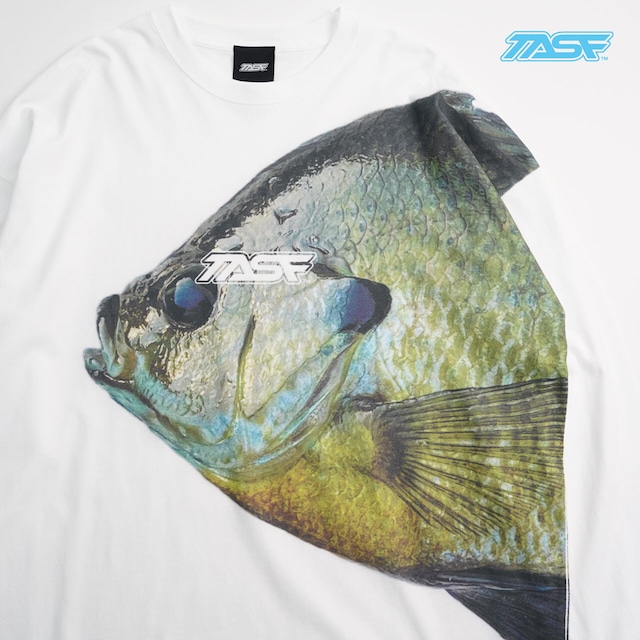 TASF / BigギルロンTee / White