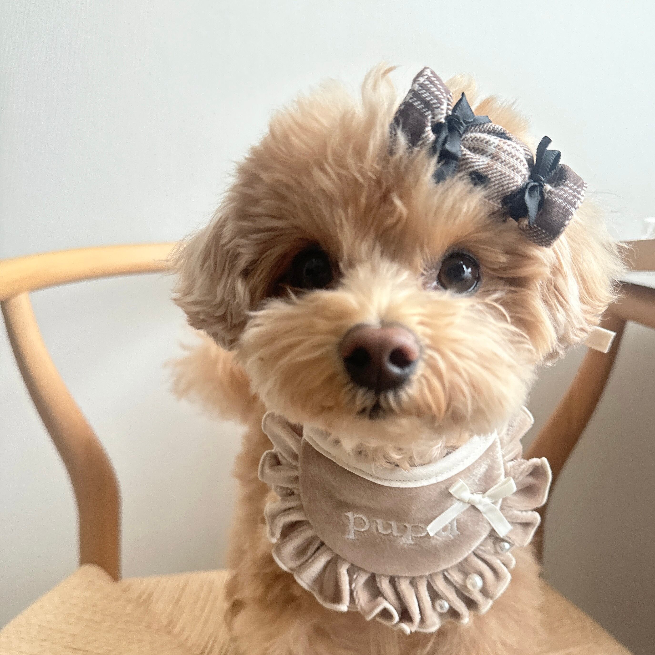 キャンディパッチン