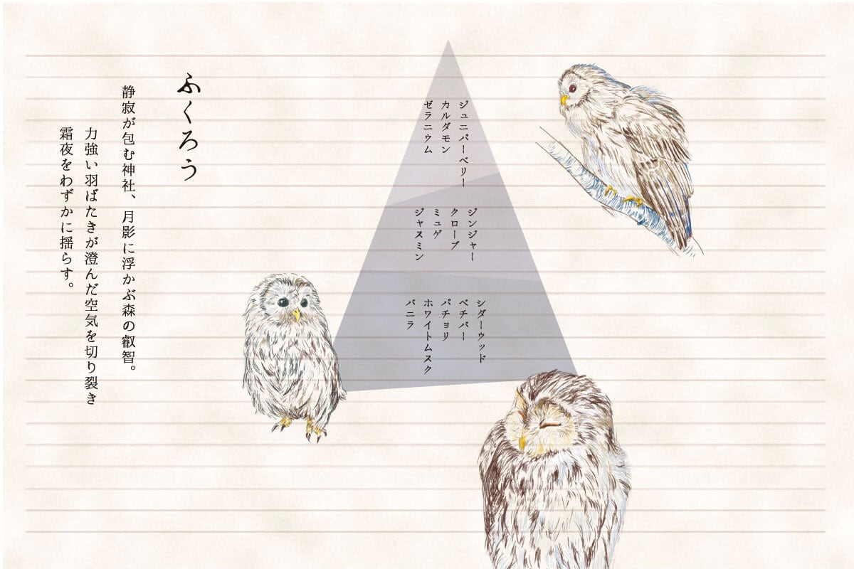 鳥ノート ふくろう | コトノカ