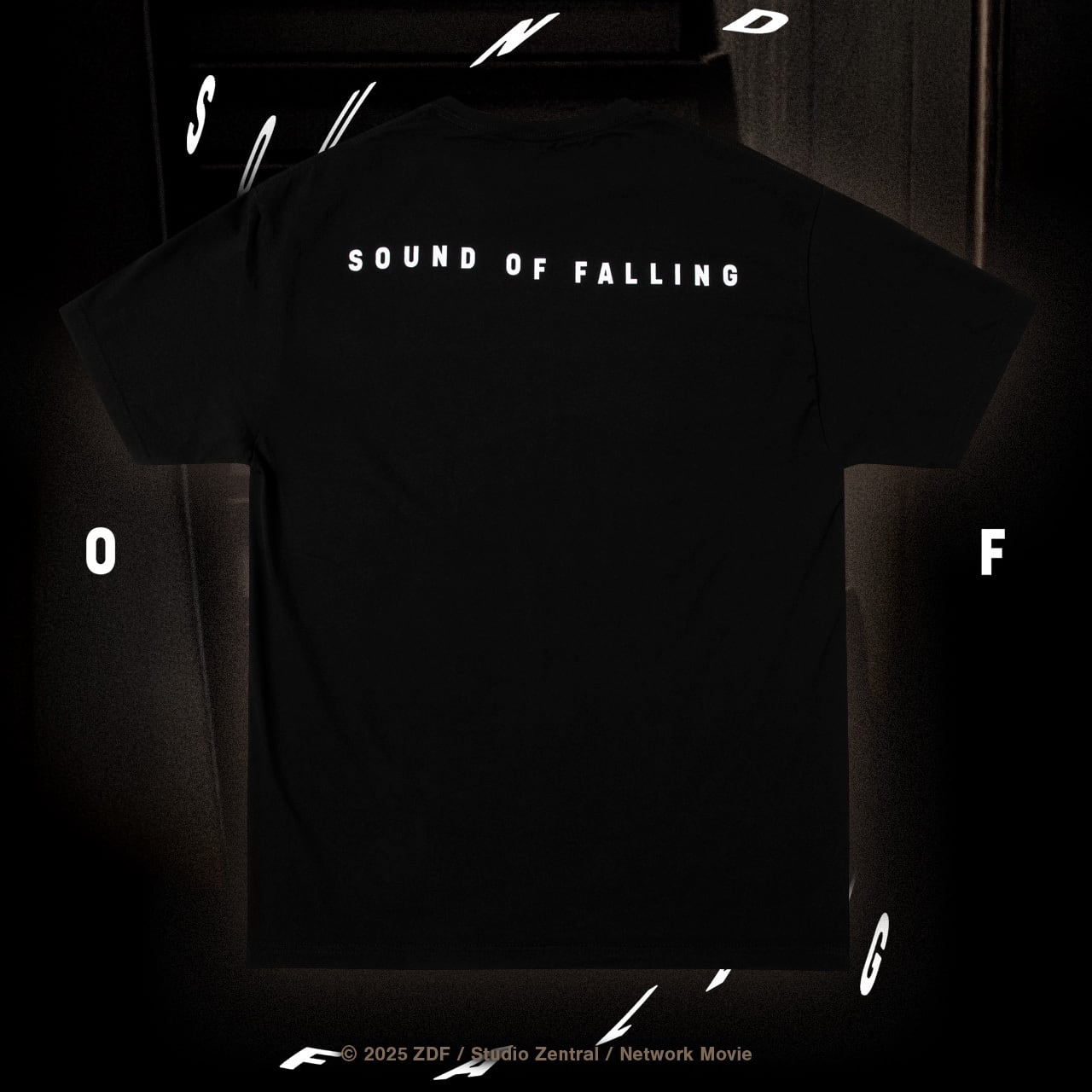 SOUND OF FALLING × GEEKS RULE SILKSCREEN PRINTING T SHIRT | GEEKS RULE
