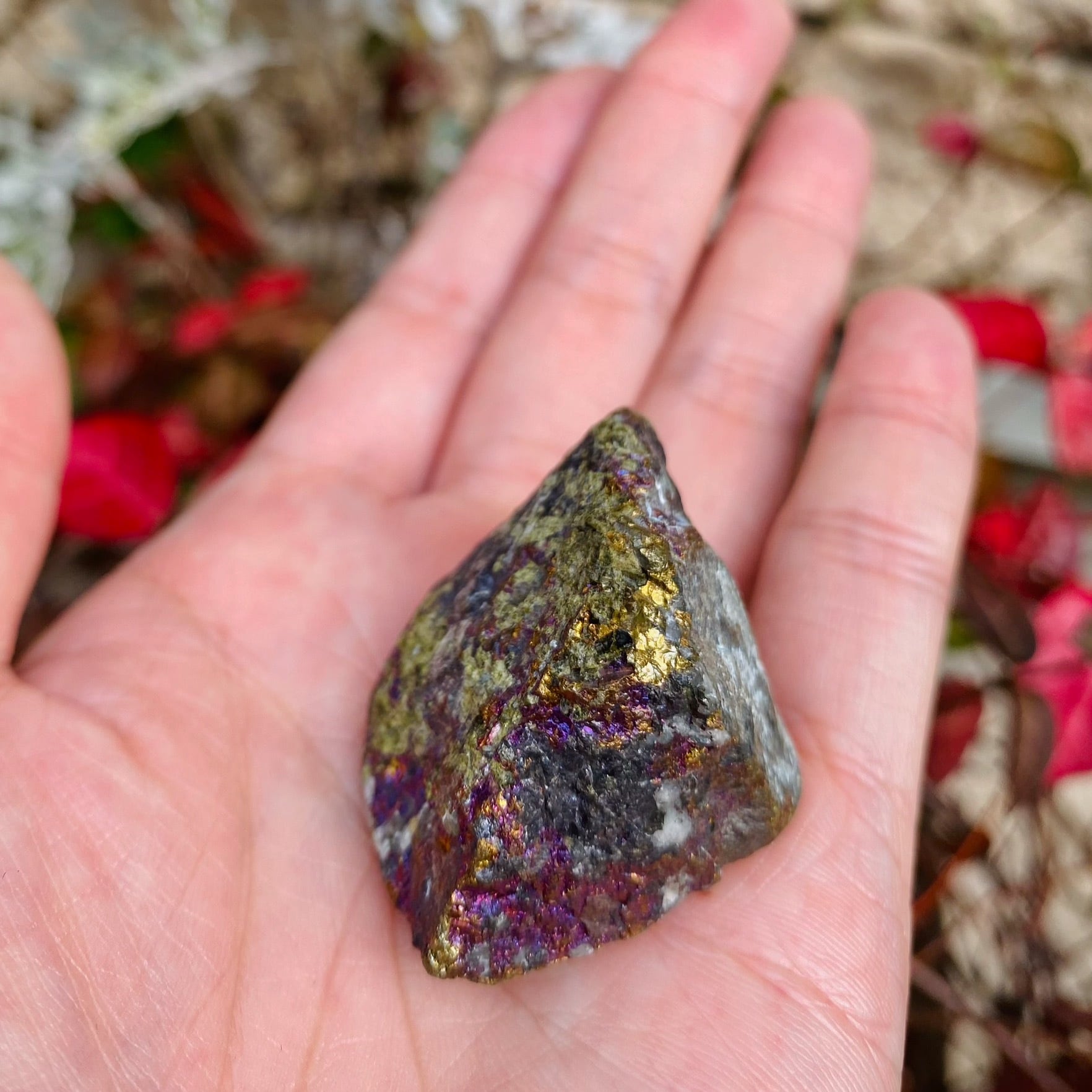 9af20e8e70bcd5519c752d08cf08d9