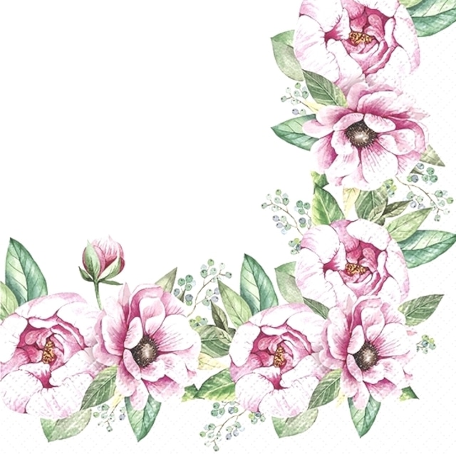 【TETE a TETE】バラ売り2枚 ランチサイズ ペーパーナプキン Floral Border ホワイト