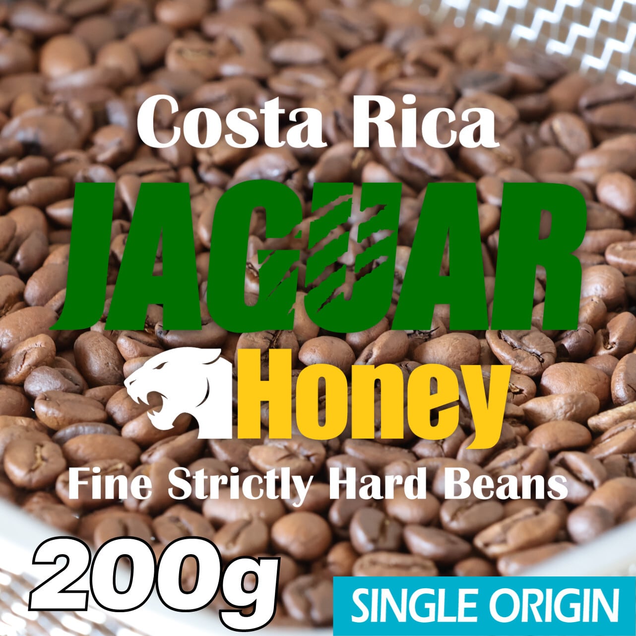 コスタリカ / ジャガー ハニー F-SHB(200g)