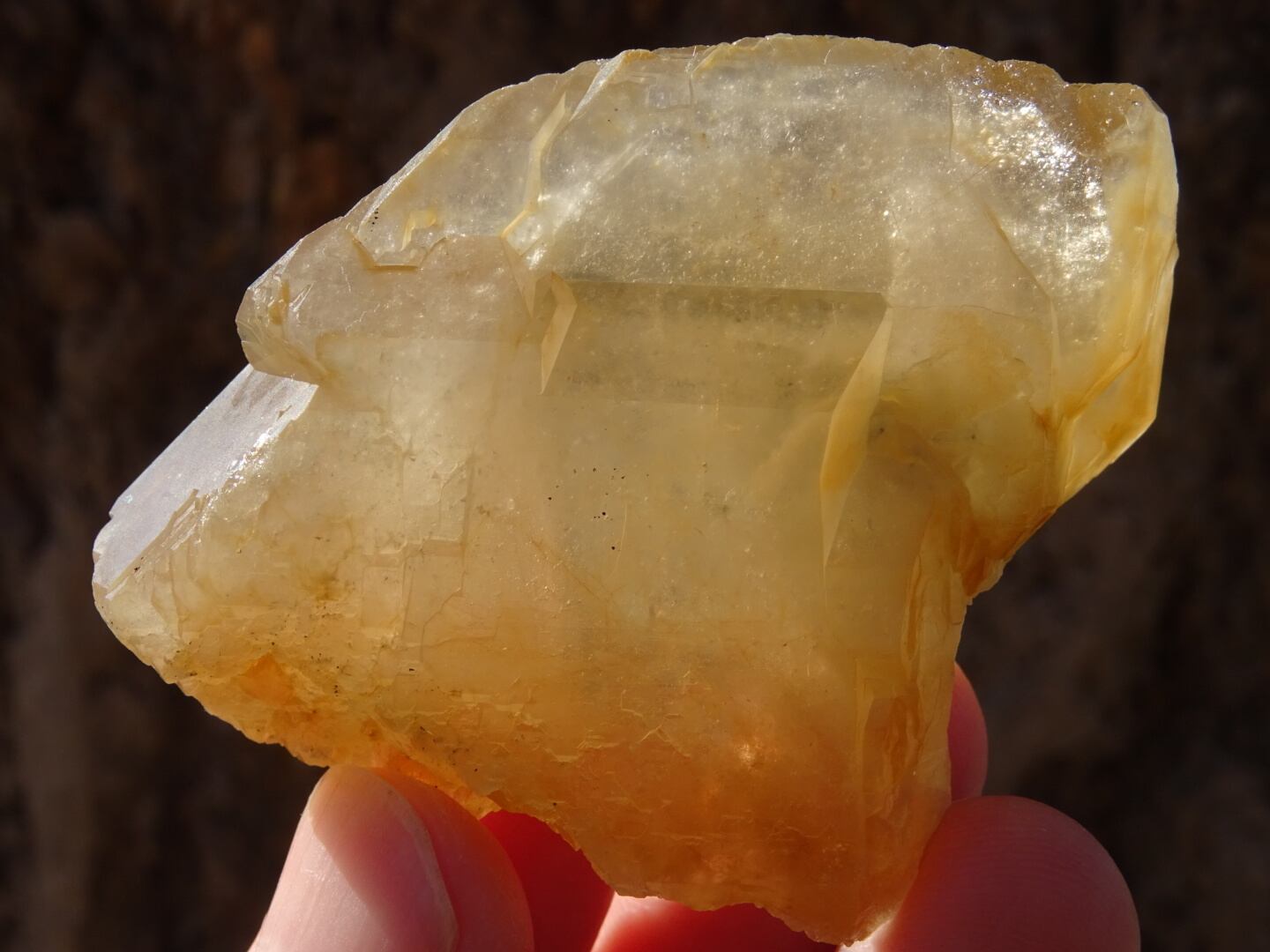 ゴールデン・ザギマウンテンクリスタル(High Quality)~Earth Fire~