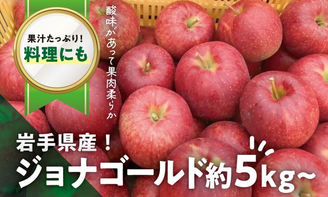 【酸味のあるりんごがお好きな方に！】「ジョナゴールド」約5kg～