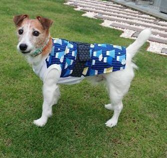 ♡さま　専用　犬の浴衣♡ ハンドメイド　M size