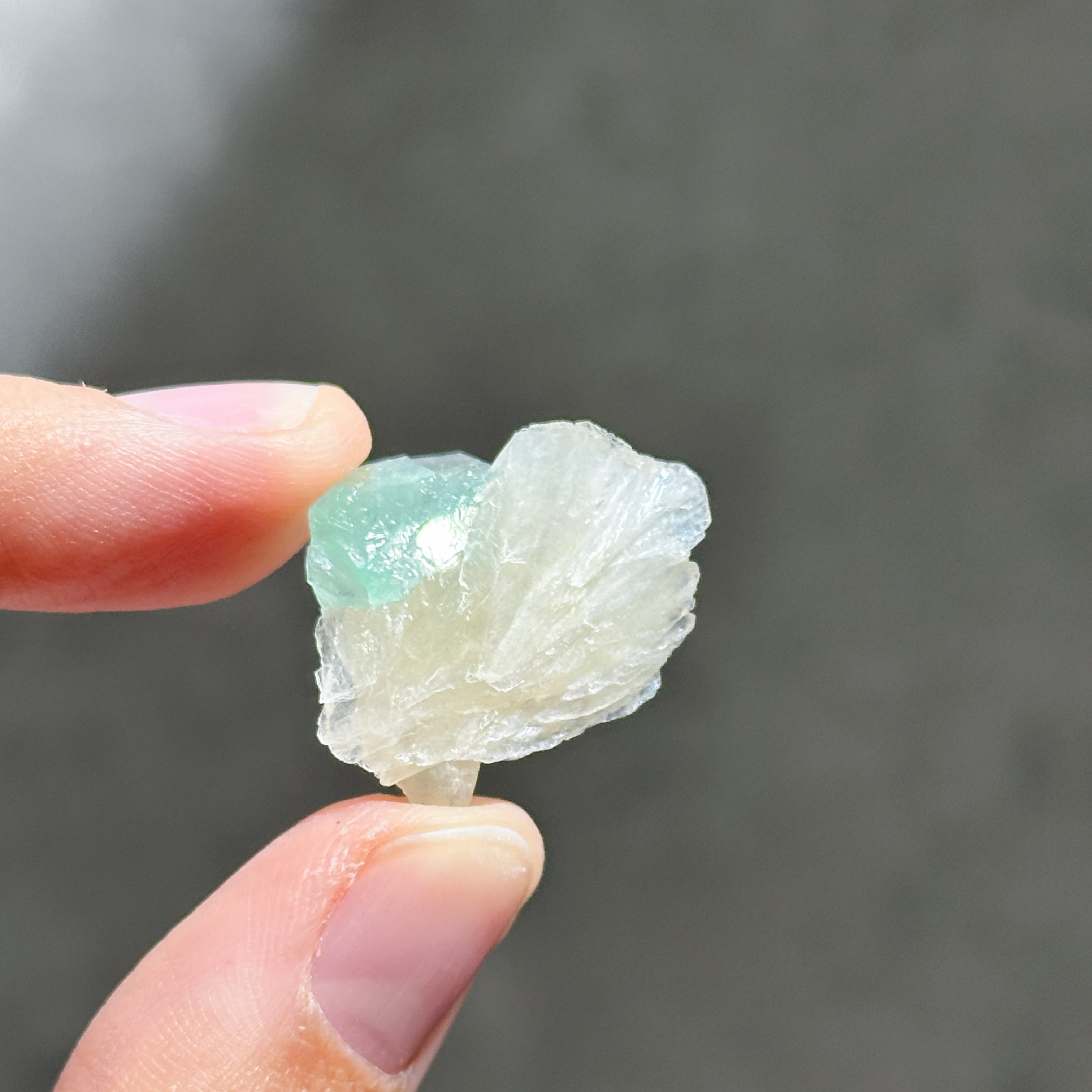 グリーンアポフィライト＆スティルバイト 3個set 01◇ Green