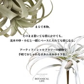 ビカクシダ・コウモリランL【アーティフィシャルフラワー】