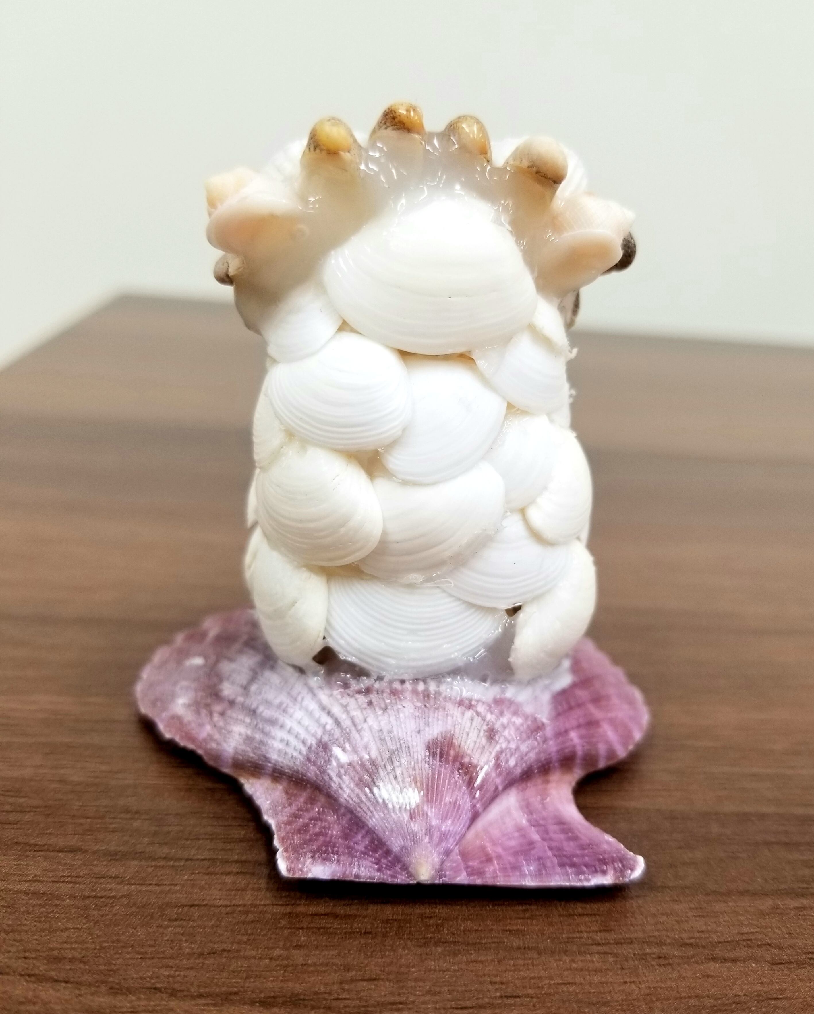 貝殻細工 フクロウ 大 | オカヤドカリショップ BiTa
