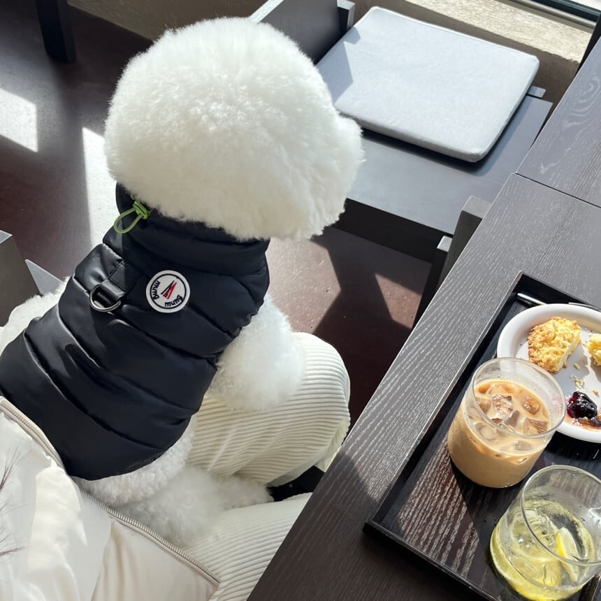 《予約》PP003 ブラックダウンベストタイプ