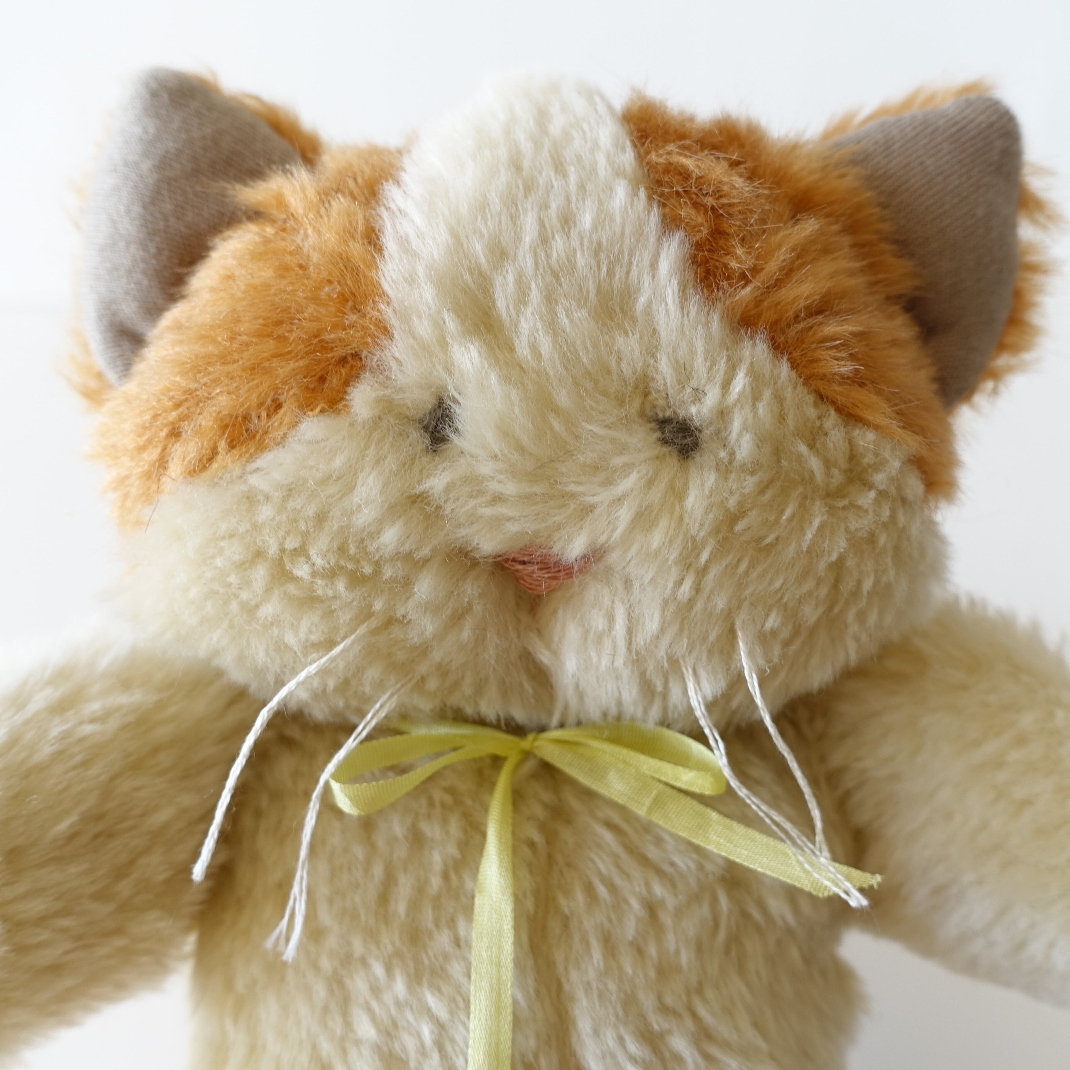 ぶちねこ | pirath
