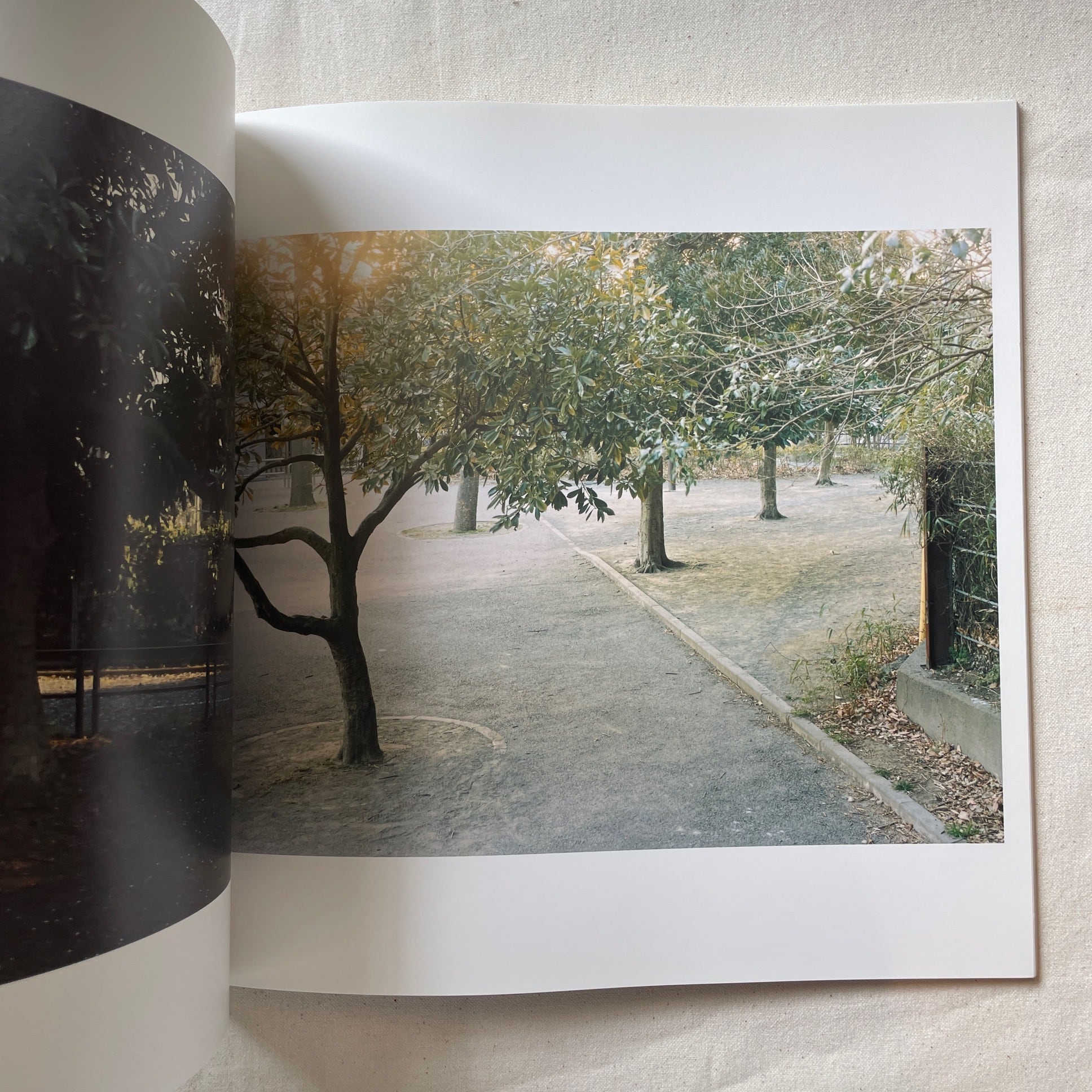 光と重力 / 今井智己 | 汀線