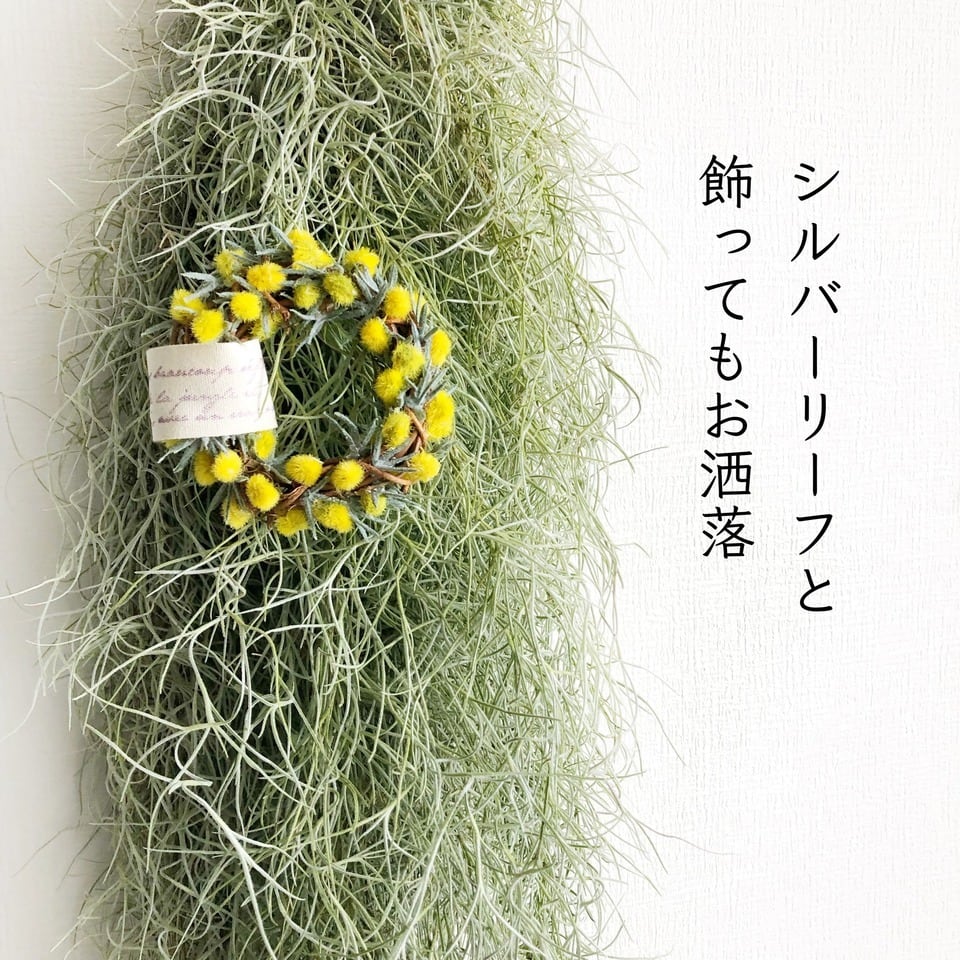 送料無料》ミモザの手のひらリース | お花作家の店 良秋Ryosyu