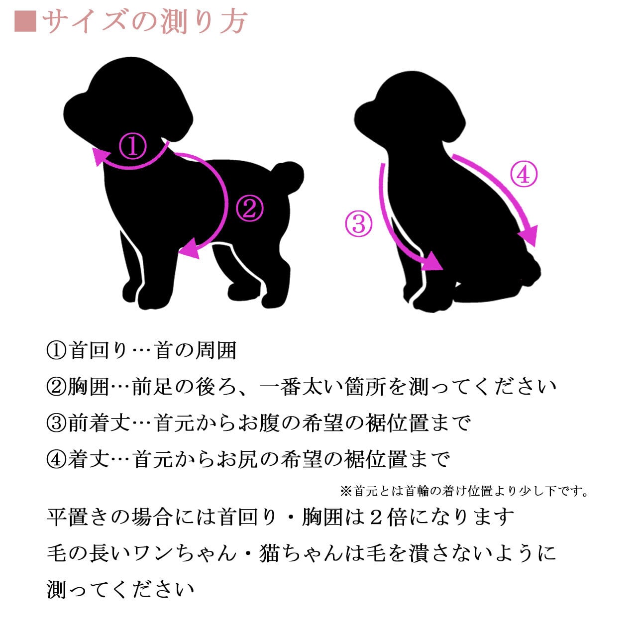 モノクロフラワー、わんちゃん猫ちゃん用襟付き首輪 モノクロフラワー、わんちゃん猫ちゃん用襟付き首輪