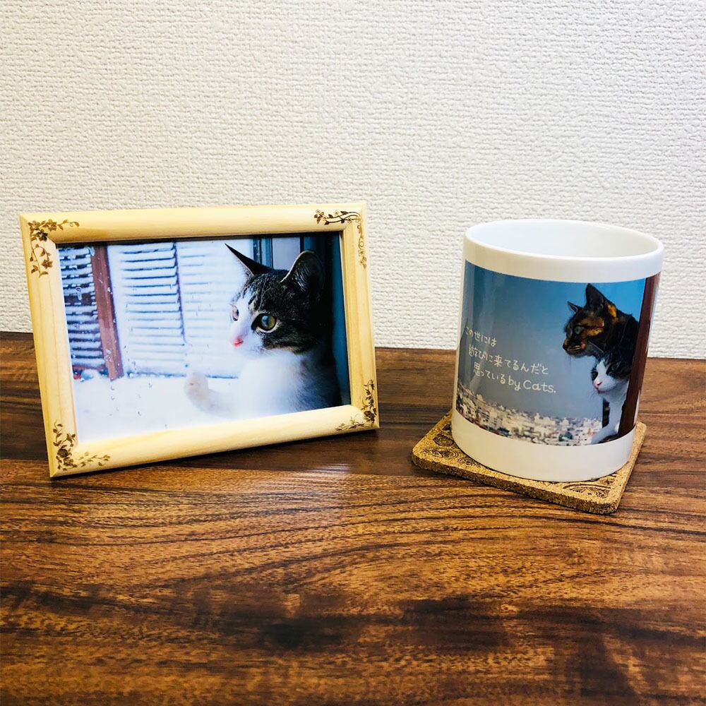 デザイン フォトフレーム 4種のフラワー柄額縁 ナチュラル L版 写真 The Cat Who 猫は雪を見ると 付き 横12 7 X 縦8 9センチ Cm 文字 名入れ レイアウト お好み変更 無料対応 額縁 額 写真立て ポートレート 猫 ねこ ネコ オリジナル Aigerrypf05l Shop The デザイン フォトフレーム 4種のフラワー柄額縁 ナチュラル L版 写真 The Cat Who 猫は雪を見ると 付き 横12 7 X 縦8 9センチ Cm 文字 名入れ レイアウト お好み変更 無料対応 額縁 額 写真立て ポートレート 猫 ねこ ネコ オリジナル Aigerrypf05l Shop The