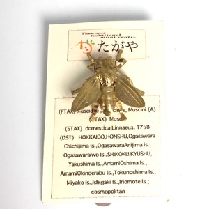 【たがや】 ピンバッジ「イエバエ」