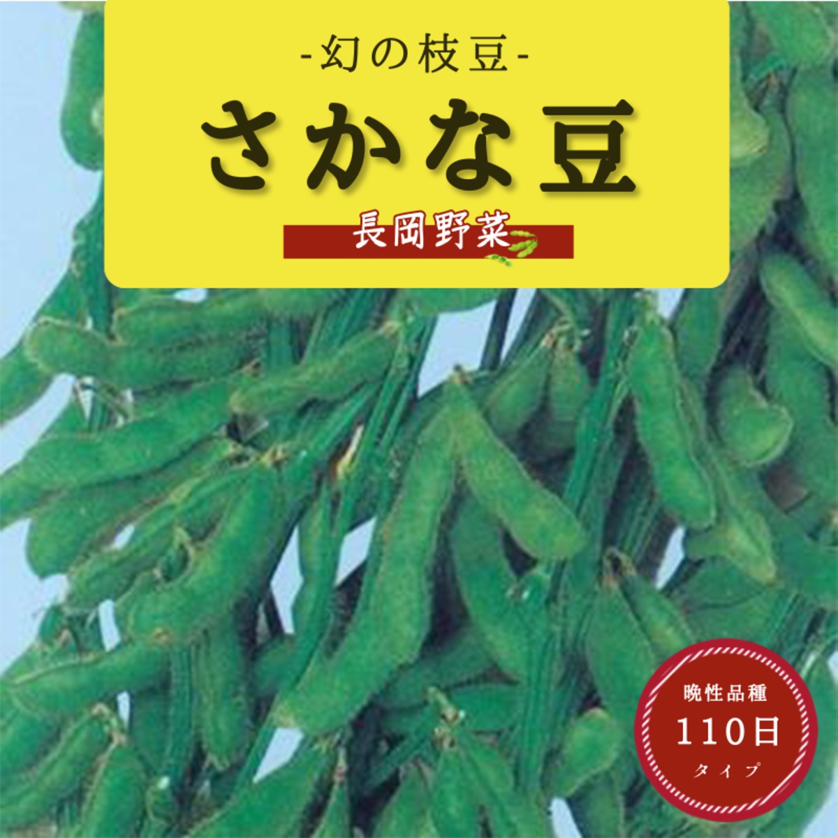 9afd5c00aa13abc4a3e8836198e991
