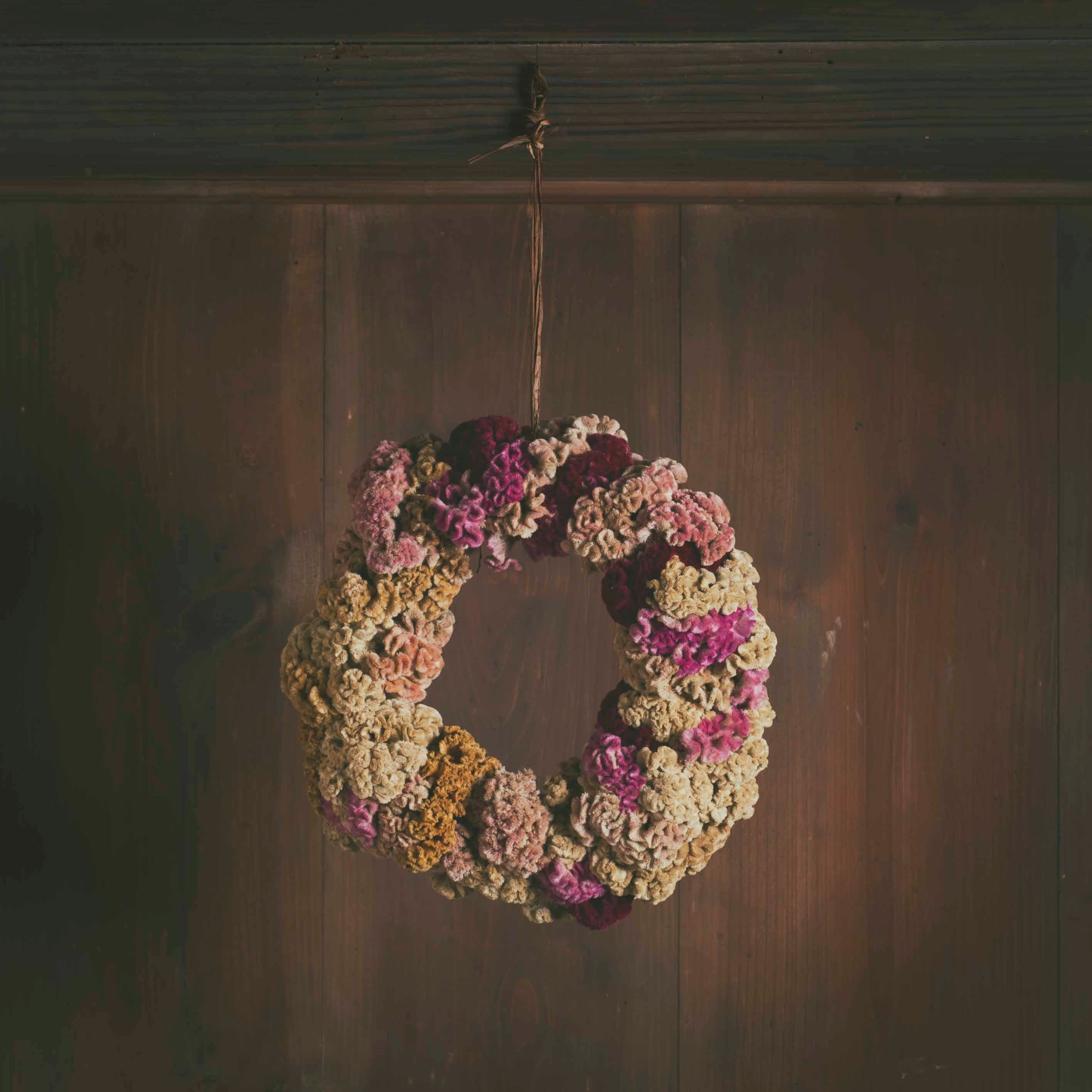 ドライフラワー リース 鶏頭 Dry Flower Wreath Celosia Cockscomb