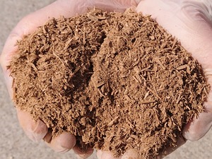【ひょうご安心ブランド認定】淡路島産 玉ねぎ 3kg（約9個入り） 産地直送｜加熱でとろける甘さ