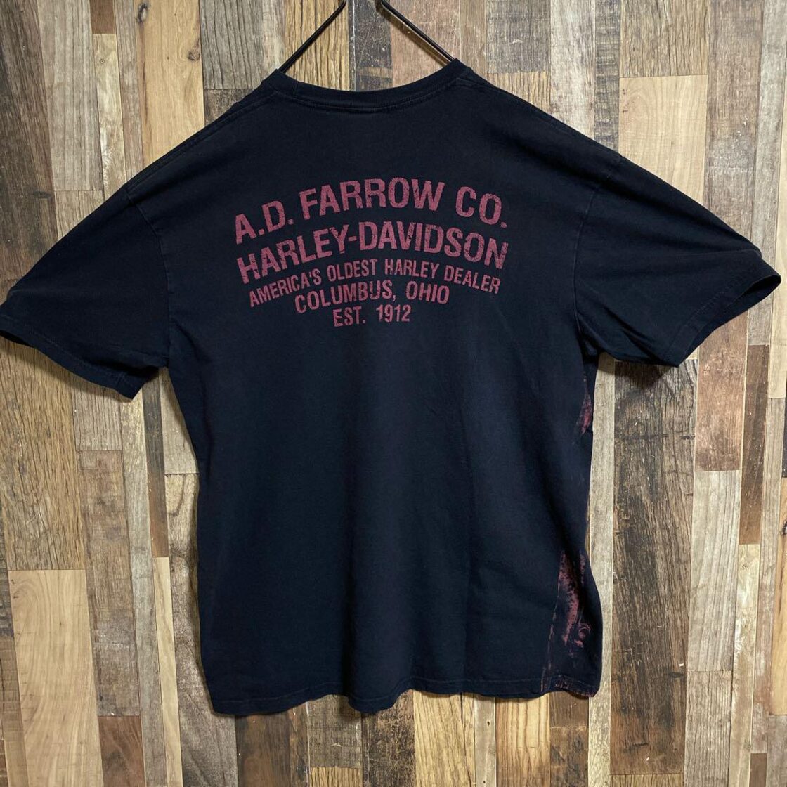 ドクロ ハーレーダビッドソン 鎖 1912 オハイオ 古着 90s 半袖Tシャツ 