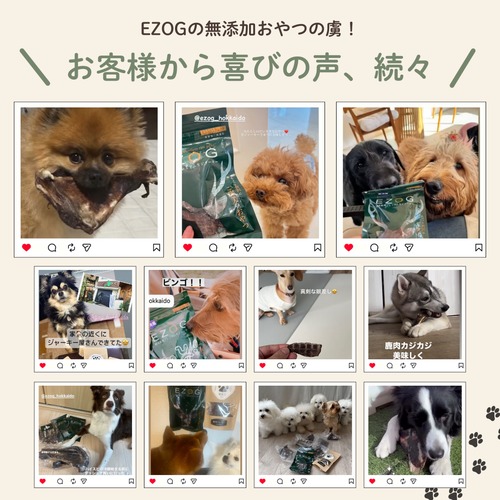 【送料無料】【やわらか】【食いつき抜群】エゾ鹿肉プレミアム生ジャーキー（大）１００g×３個セット