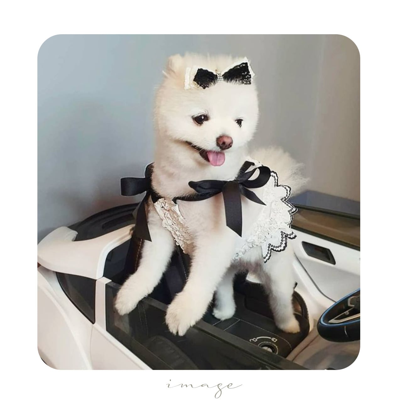 FLUFFY YUMMY SOUVENIRリボンバレッタ サテンパールリボンバレッタ- LAFARY ONLINE