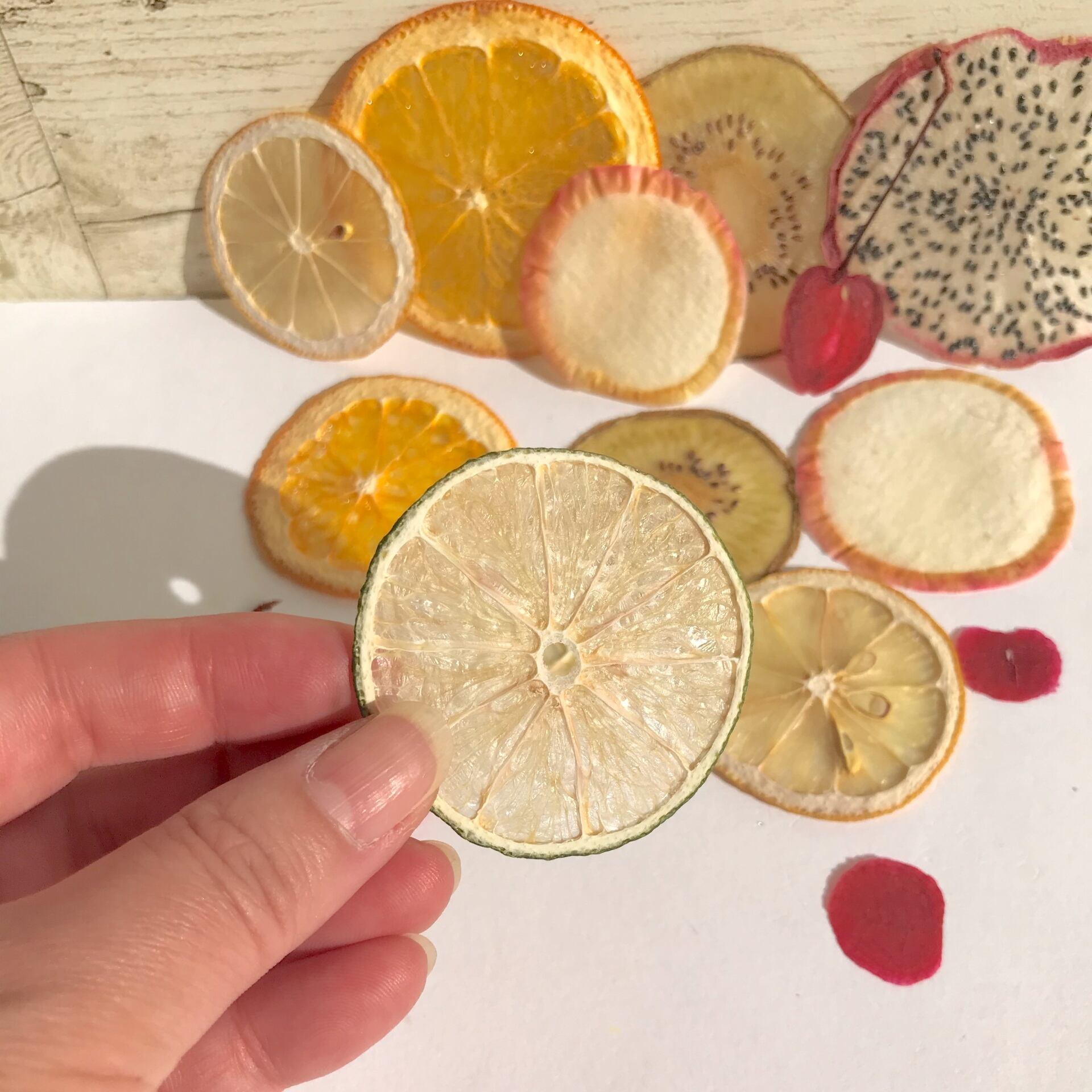 フェイクフルーツ ラフランス・ブドウ・レモン・ライム ラ・フランス