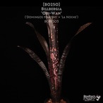 【送料無料】Billbergia 'Obi-Wan'〔ビルベルギア〕現品発送B0250