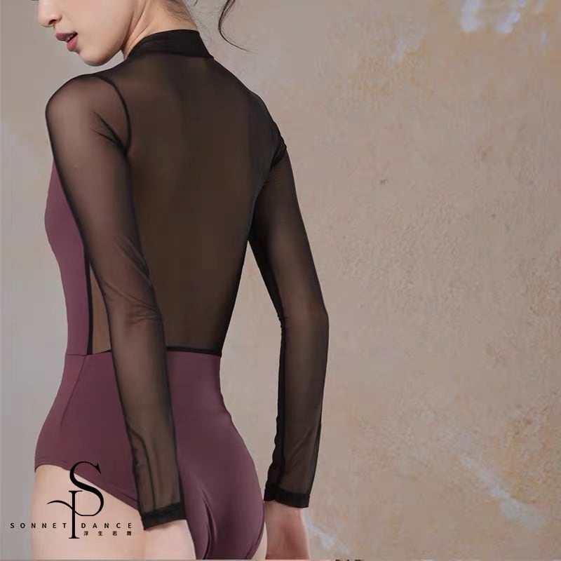 Vネックレース ロングスリーブ バレエレオタード（Black) | バレエ