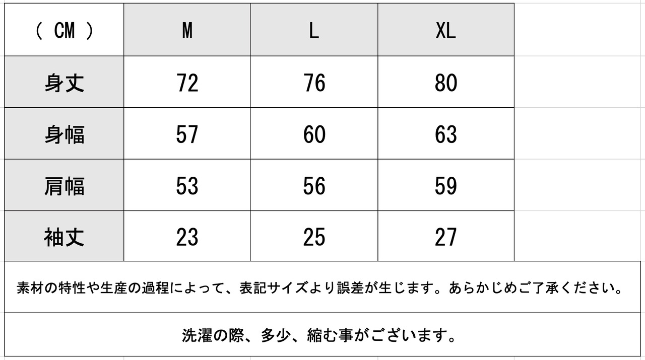 BIO  リフレクタープリント　9.1oz ヘビーウエイト　半袖  Tシャツ(BK)