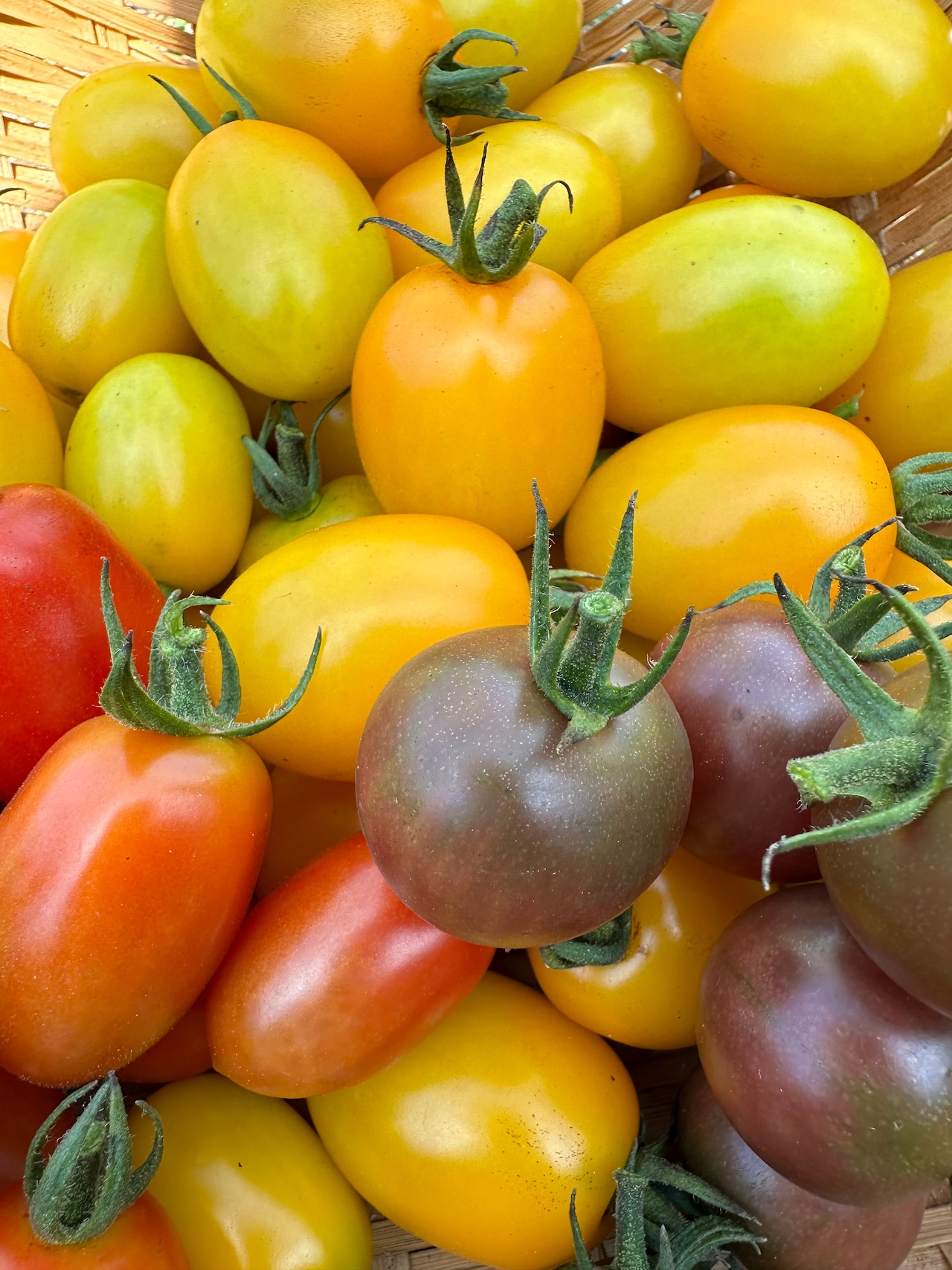 キラピカ旬野菜/ぴゅあみかんジュース/平飼い卵BOX【農薬化学肥料不使用】農の島*大三島*よりお届け!7品~