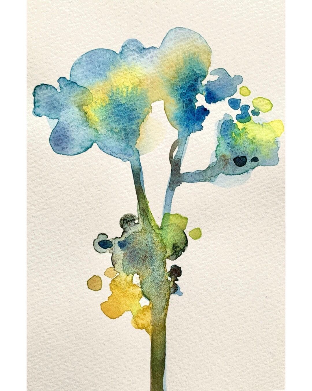 葉書サイズの花・1 | portsidelaboratory STORE