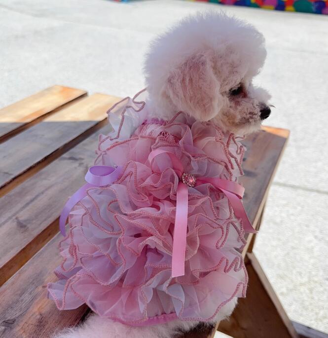 《予約》№3102111 アメイジングチュールワンピ