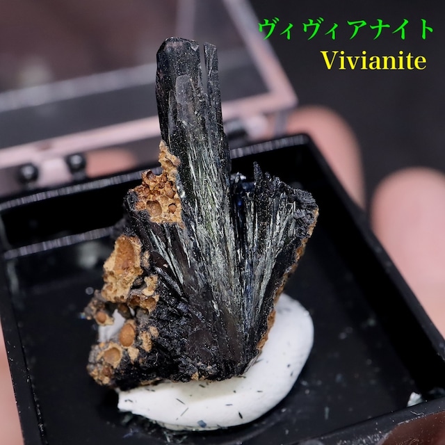ヴィヴィアナイト 藍鉄鉱 ウクライナ産 原石 3,6G VVN003 鉱物 原石 天然石 パワーストーン