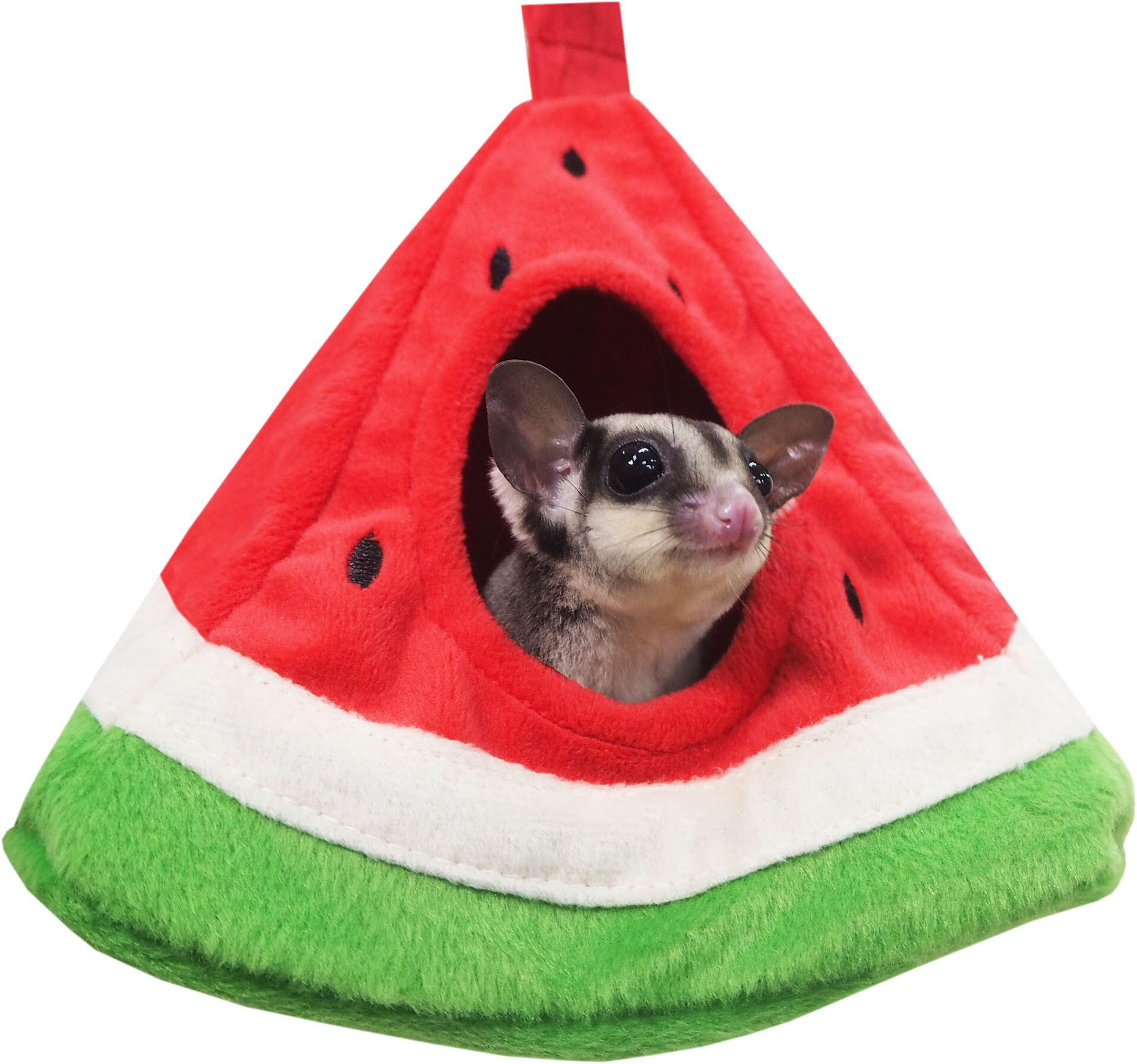 【小動物用品】ミニテントハウス スイカ