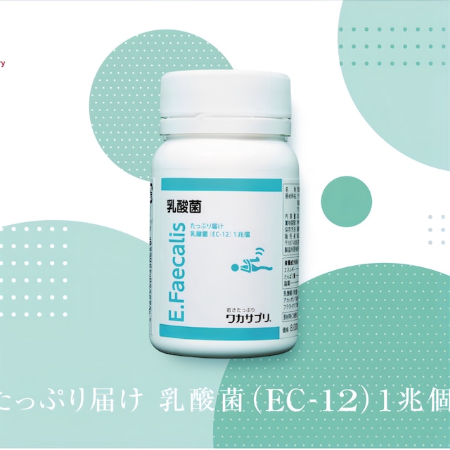 ワカサプリ 乳酸菌(フェカリス菌)