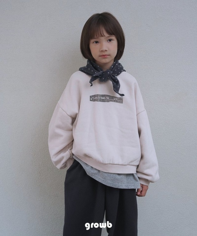 ウィズトレーナー 【GROWB】