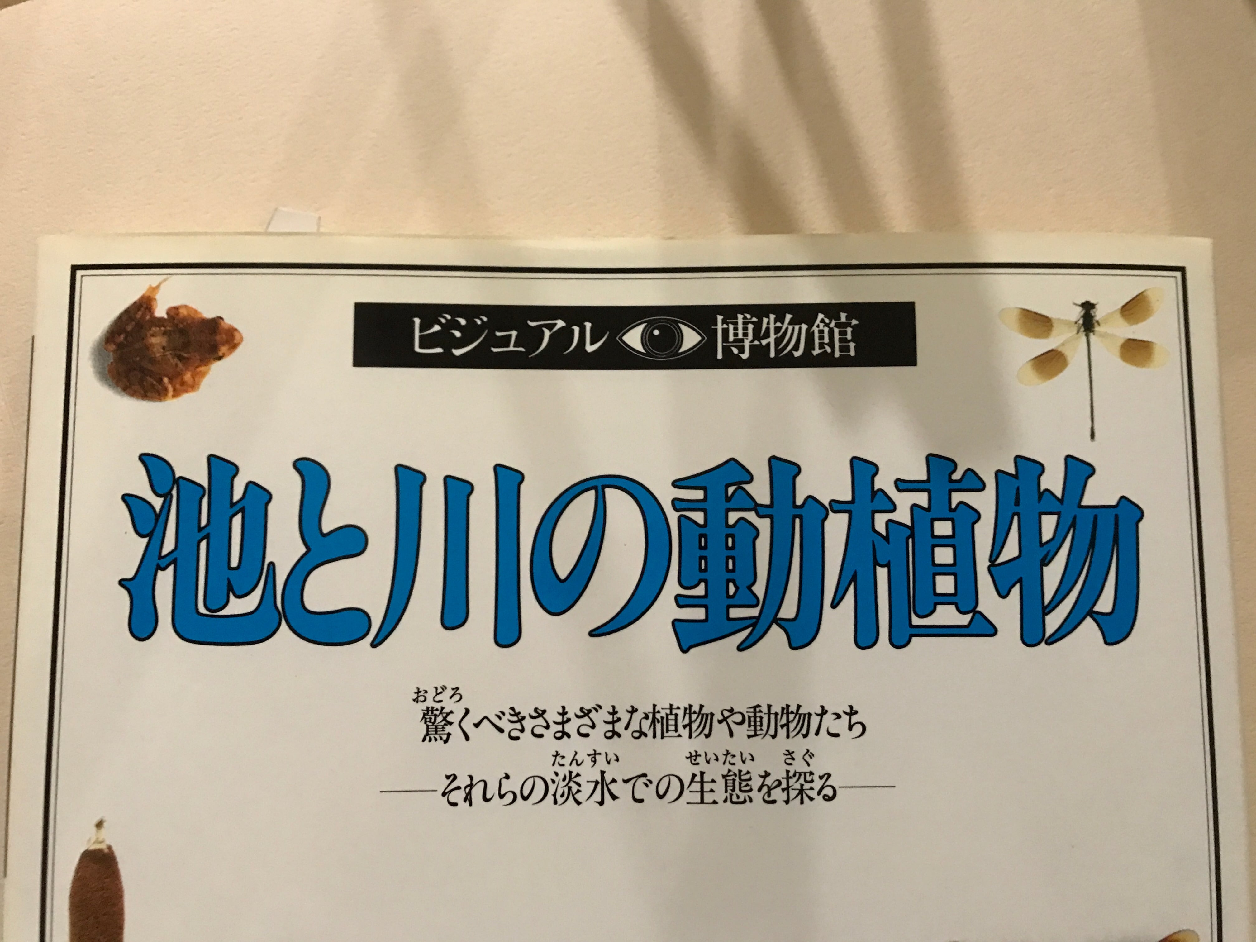 ビジュアル·博物館　19冊 ビジュアル博物館シリーズ 19冊 同朋社