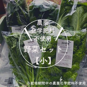 【野菜】野菜セット　小