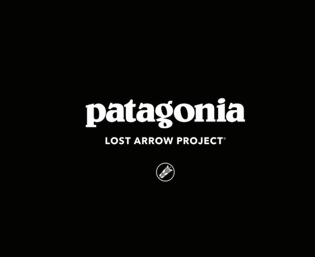 パタゴニア DASパーカー ロストアロー MARS PCU Patagonia US DAS Parka Lost Arrow L 画像14