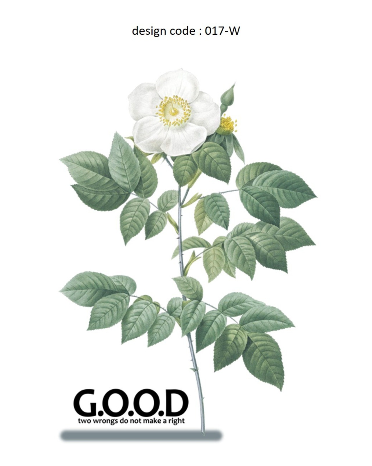 T-shirt x 017-W・画像2