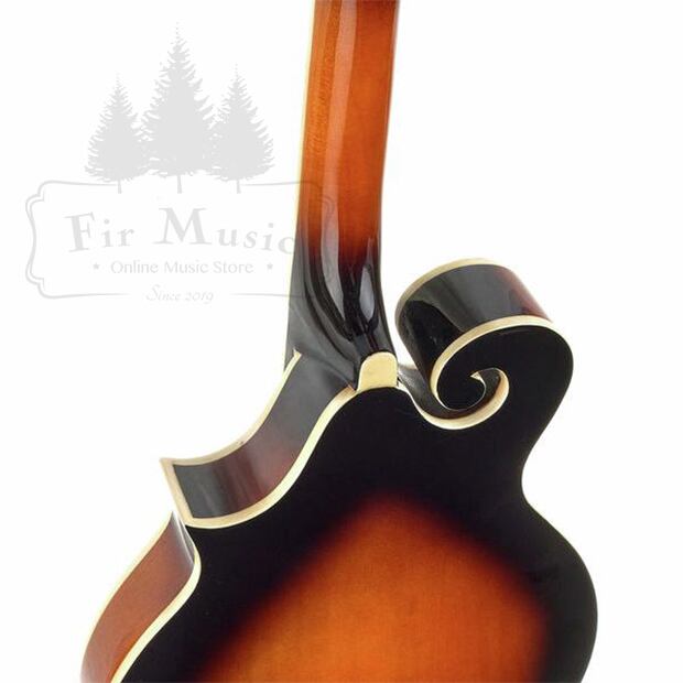 Fタイプ マンドリン PU付き ヨーロッパ製 Mandolin - Made in Europe