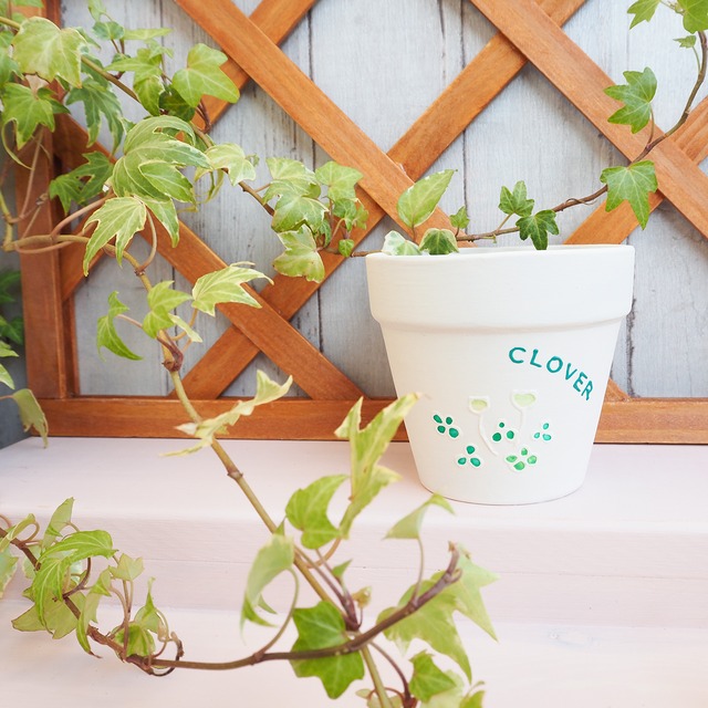 【うららかフラワーシリーズ】　クローバー