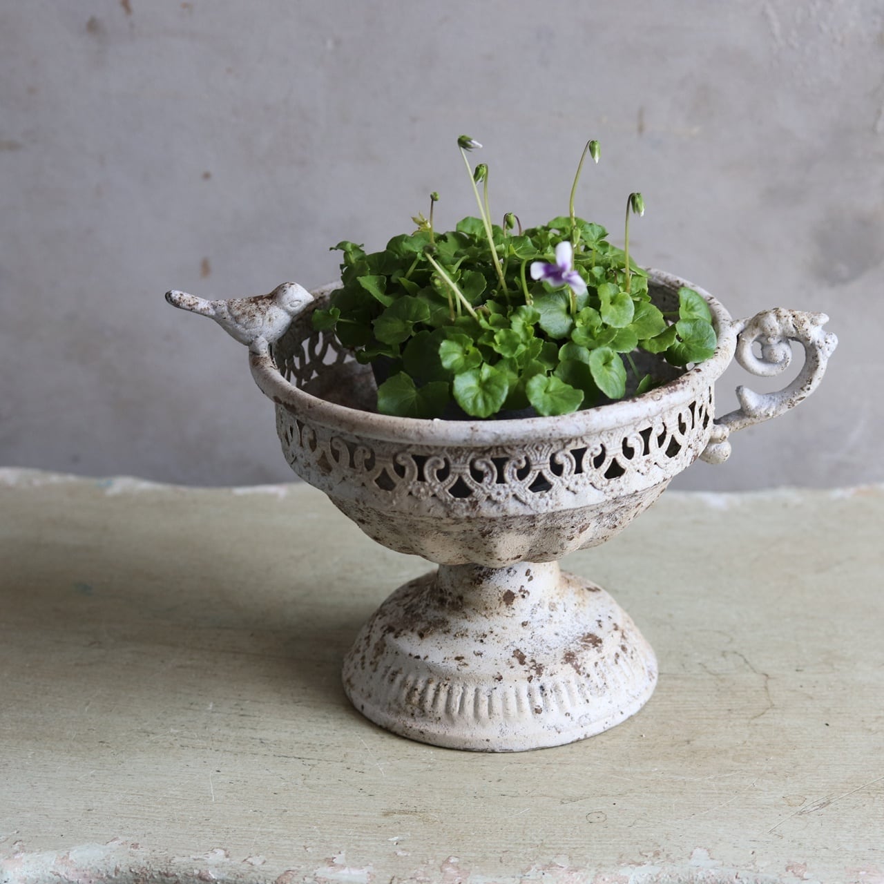 鉢（フリスキー） ブリキ植木鉢 オワゾーカップW アンティーク調 シャビーシック