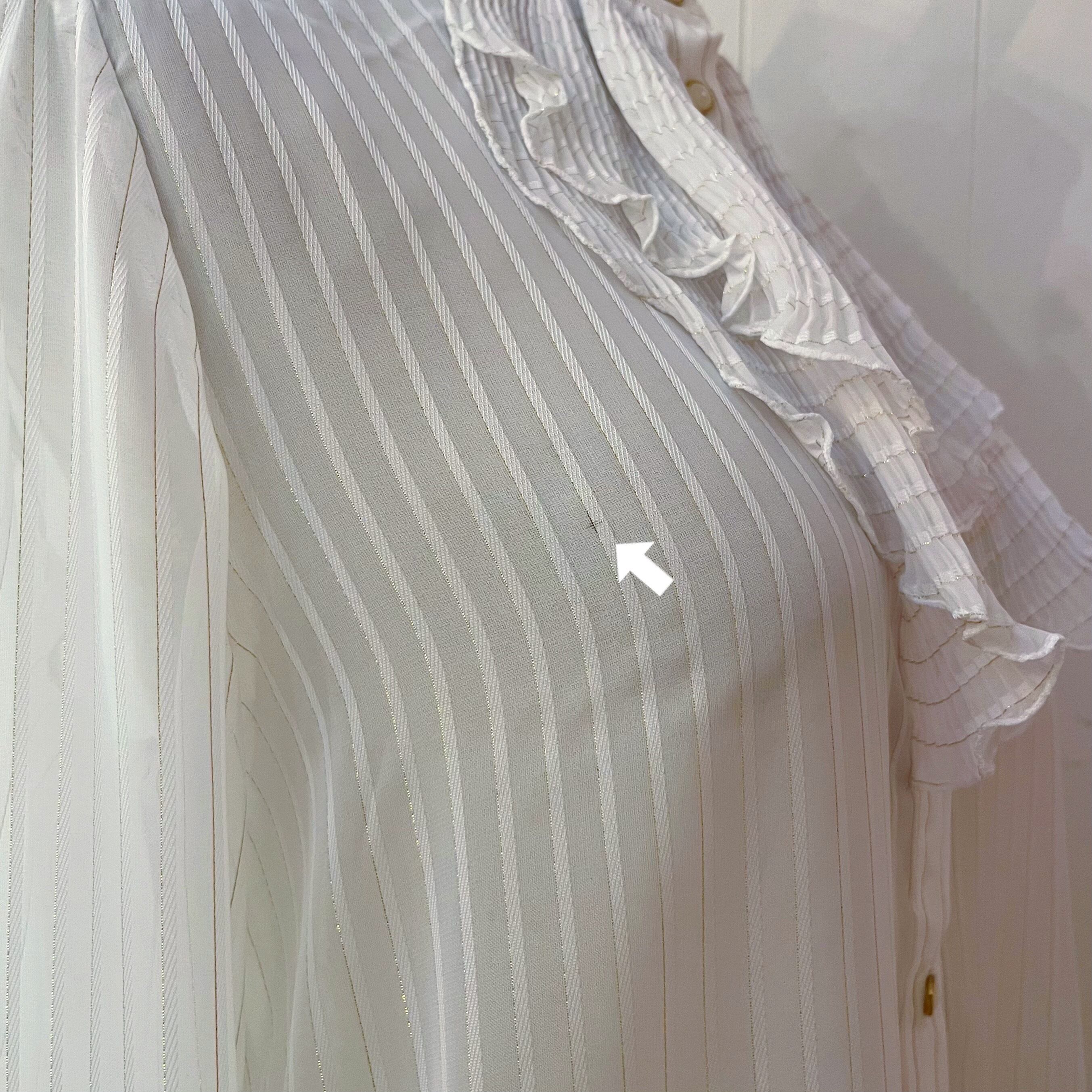 lame stripe sheer frill blouse