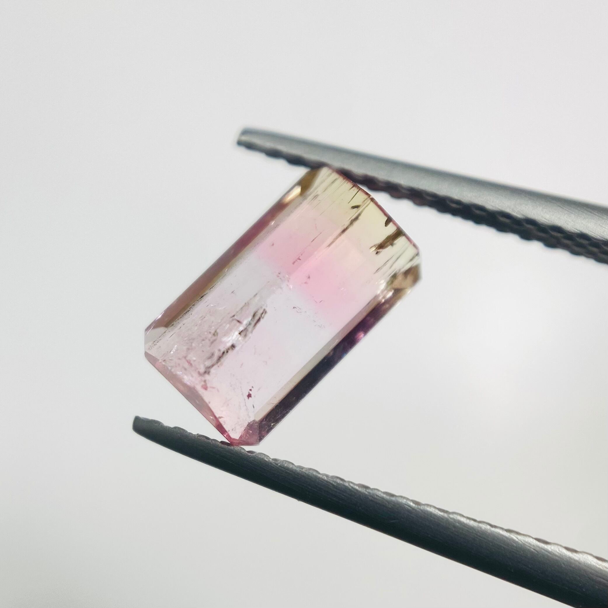 春の花々 パーティーカラートルマリン